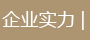 企業(yè)實力